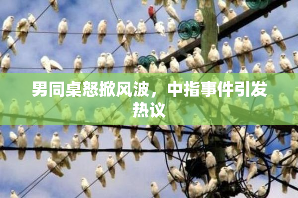 男同桌怒掀风波，中指事件引发热议