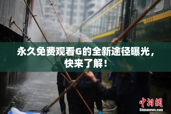 永久免费观看G的全新途径曝光，快来了解！