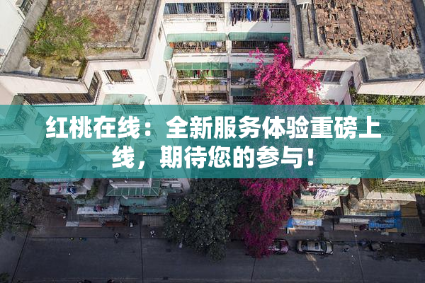 红桃在线：全新服务体验重磅上线，期待您的参与！