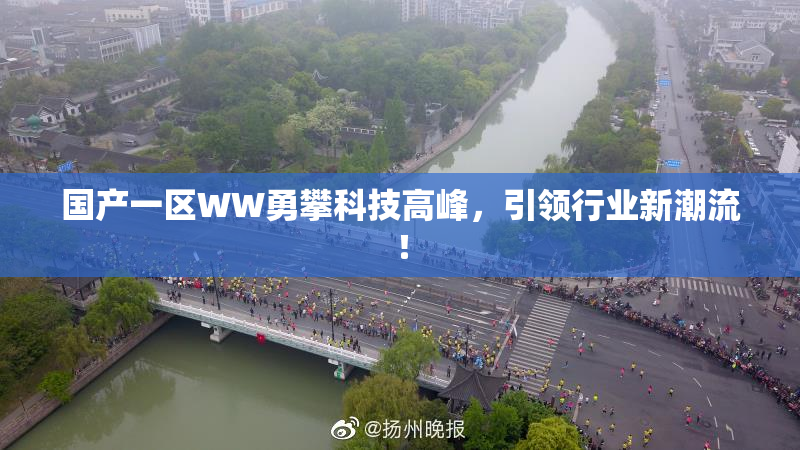 国产一区WW勇攀科技高峰，引领行业新潮流！