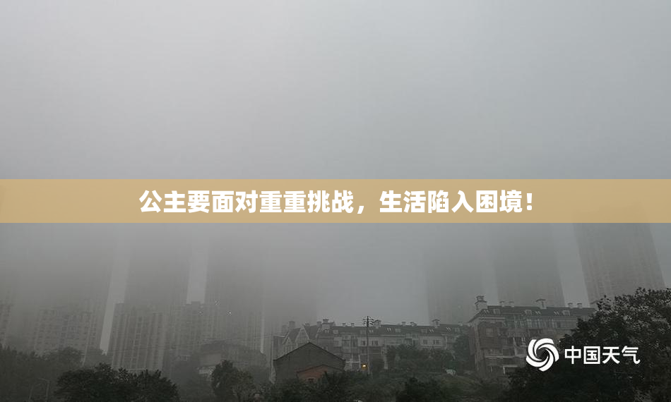 公主要面对重重挑战，生活陷入困境！