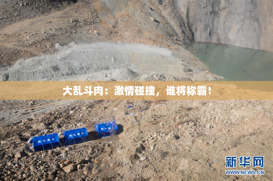 大乱斗肉：激情碰撞，谁将称霸！