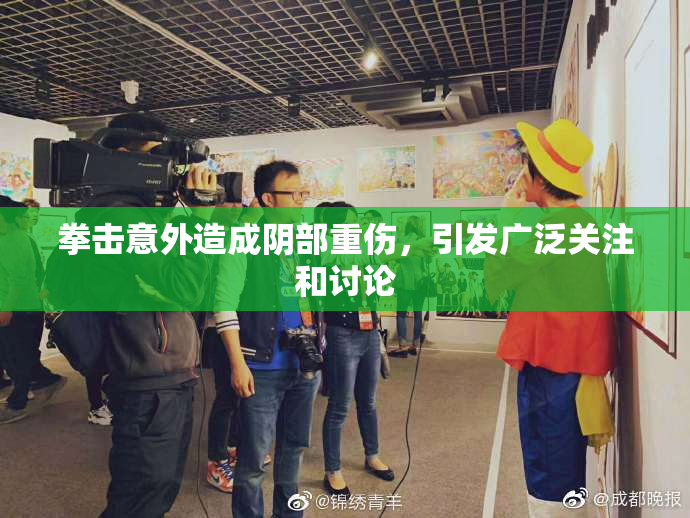 拳击意外造成阴部重伤，引发广泛关注和讨论