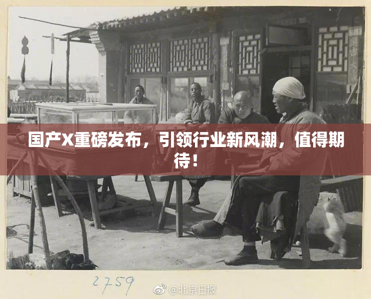 国产X重磅发布，引领行业新风潮，值得期待！