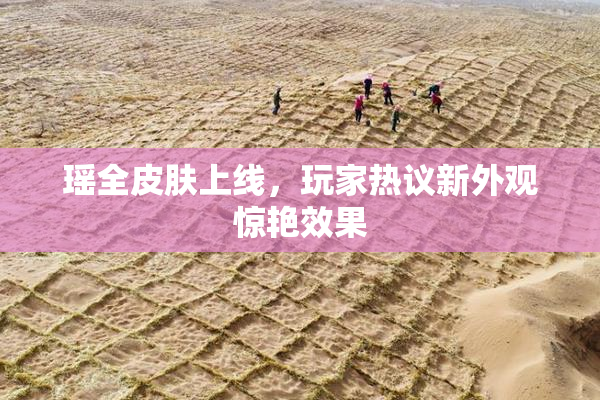 瑶全皮肤上线，玩家热议新外观惊艳效果