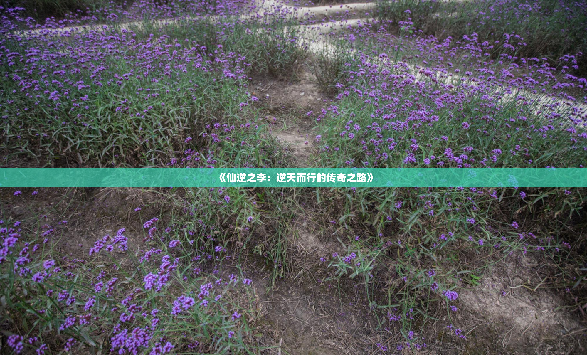 《仙逆之李：逆天而行的传奇之路》