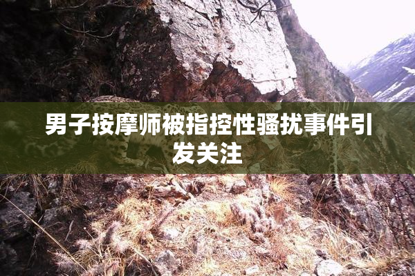 男子按摩师被指控性骚扰事件引发关注