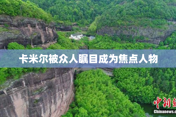 卡米尔被众人瞩目成为焦点人物