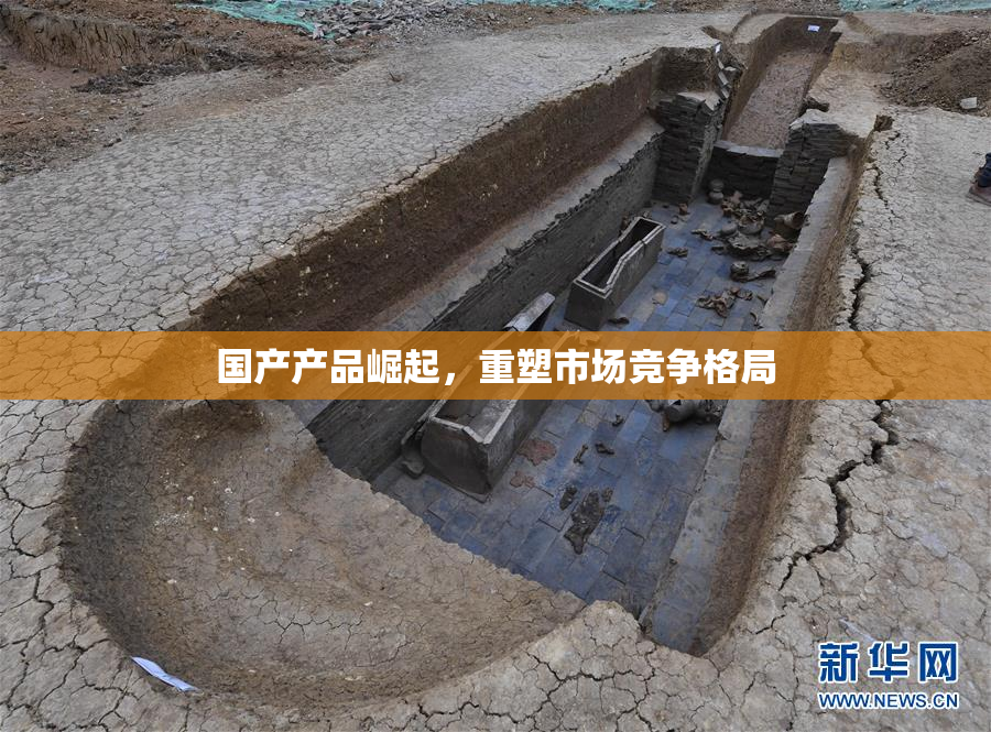国产产品崛起，重塑市场竞争格局