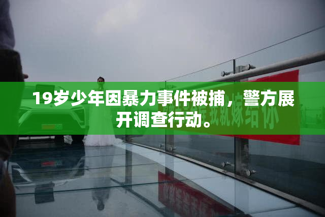 19岁少年因暴力事件被捕，警方展开调查行动。