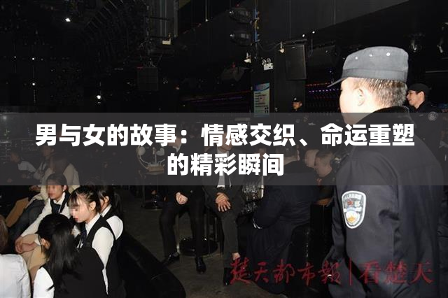 男与女的故事：情感交织、命运重塑的精彩瞬间