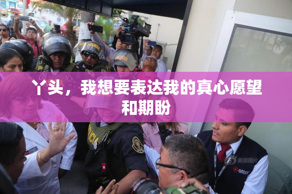 丫头，我想要表达我的真心愿望和期盼