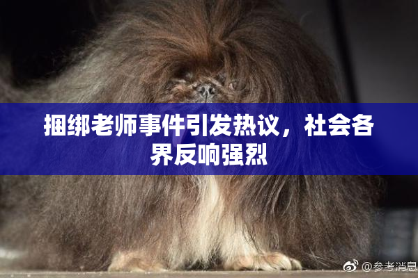 捆绑老师事件引发热议，社会各界反响强烈