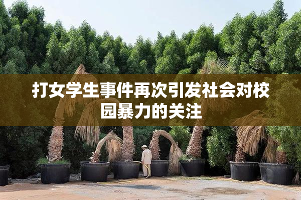 打女学生事件再次引发社会对校园暴力的关注