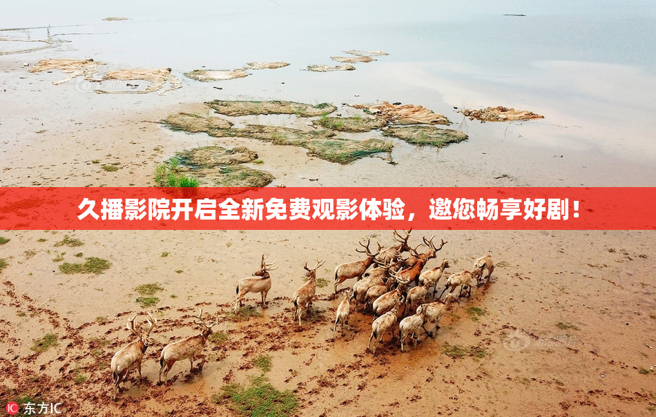久播影院开启全新免费观影体验，邀您畅享好剧！