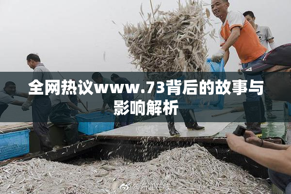 全网热议www.73背后的故事与影响解析