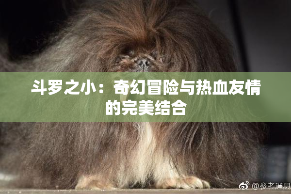 斗罗之小：奇幻冒险与热血友情的完美结合