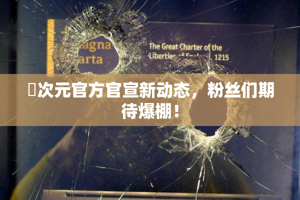 囧次元官方官宣新动态，粉丝们期待爆棚！