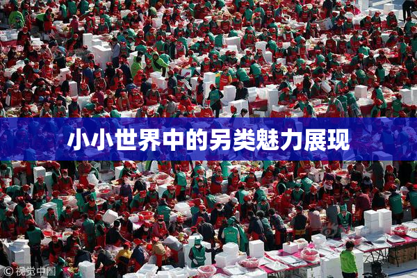 小小世界中的另类魅力展现