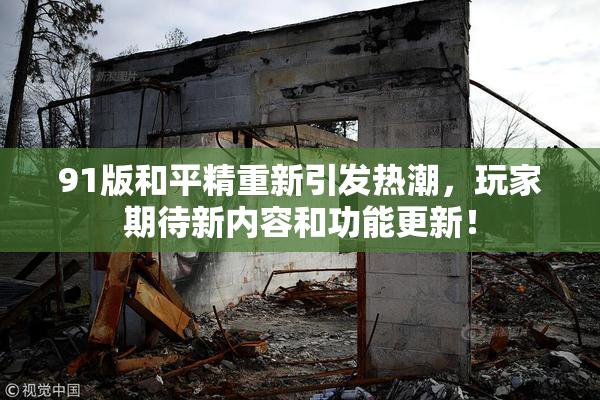 91版和平精重新引发热潮，玩家期待新内容和功能更新！