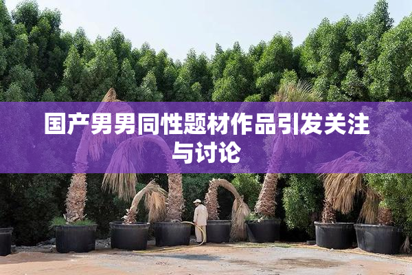 国产男男同性题材作品引发关注与讨论