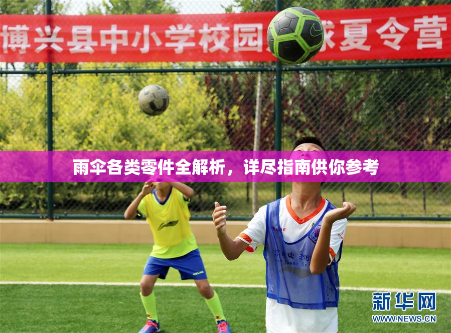 雨伞各类零件全解析，详尽指南供你参考