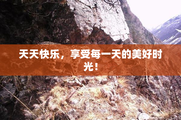 天天快乐，享受每一天的美好时光！