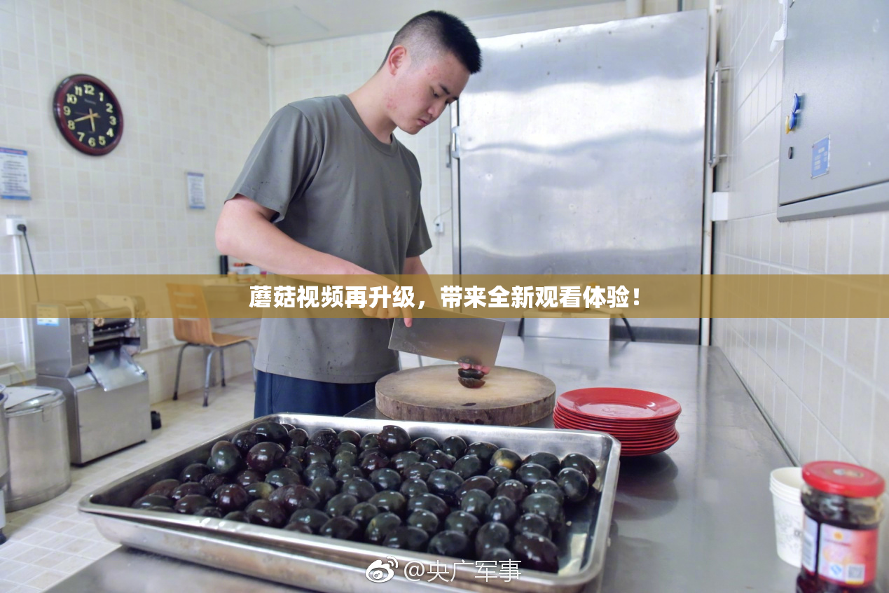 蘑菇视频再升级，带来全新观看体验！
