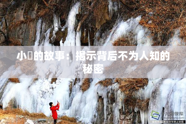 小泬的故事：揭示背后不为人知的秘密