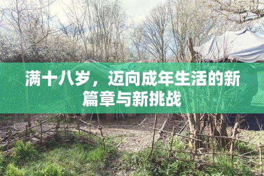 满十八岁，迈向成年生活的新篇章与新挑战