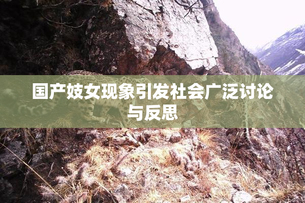 国产妓女现象引发社会广泛讨论与反思