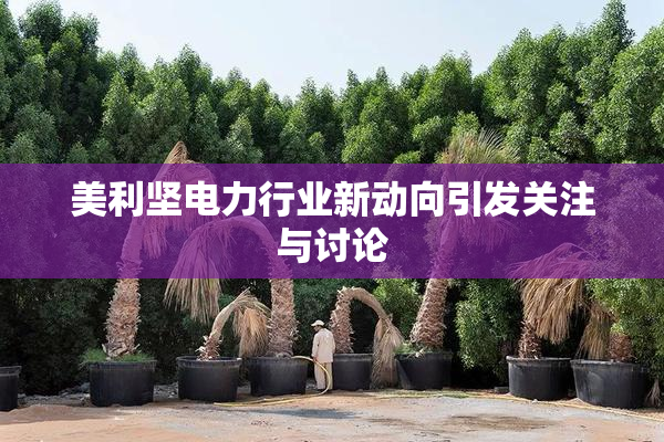 美利坚电力行业新动向引发关注与讨论