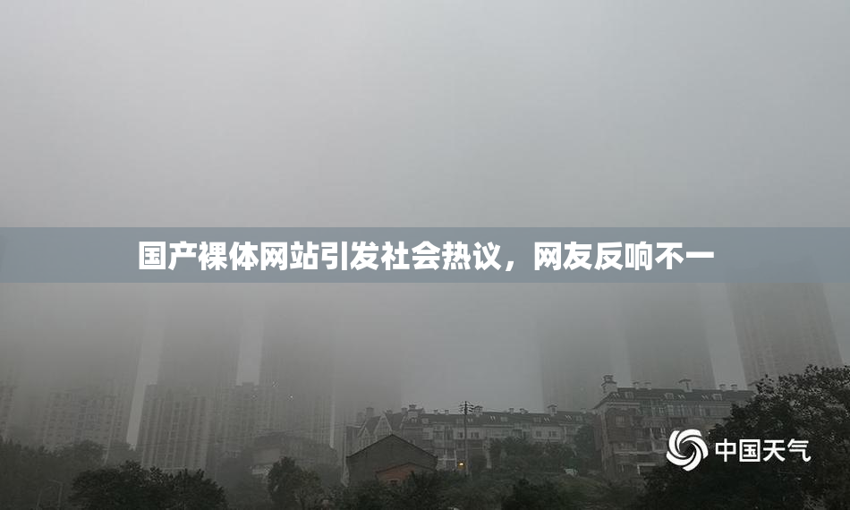 国产裸体网站引发社会热议，网友反响不一