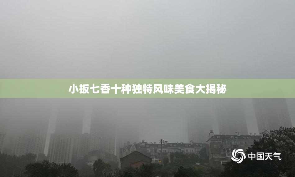 小扳七香十种独特风味美食大揭秘