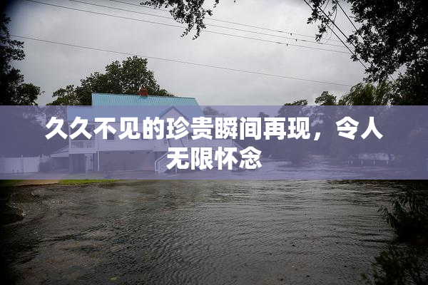 久久不见的珍贵瞬间再现，令人无限怀念