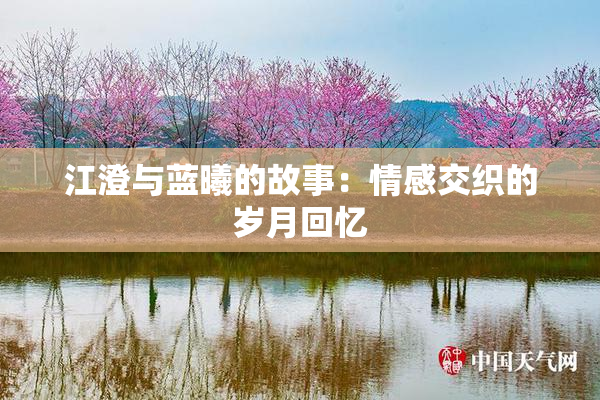 江澄与蓝曦的故事：情感交织的岁月回忆