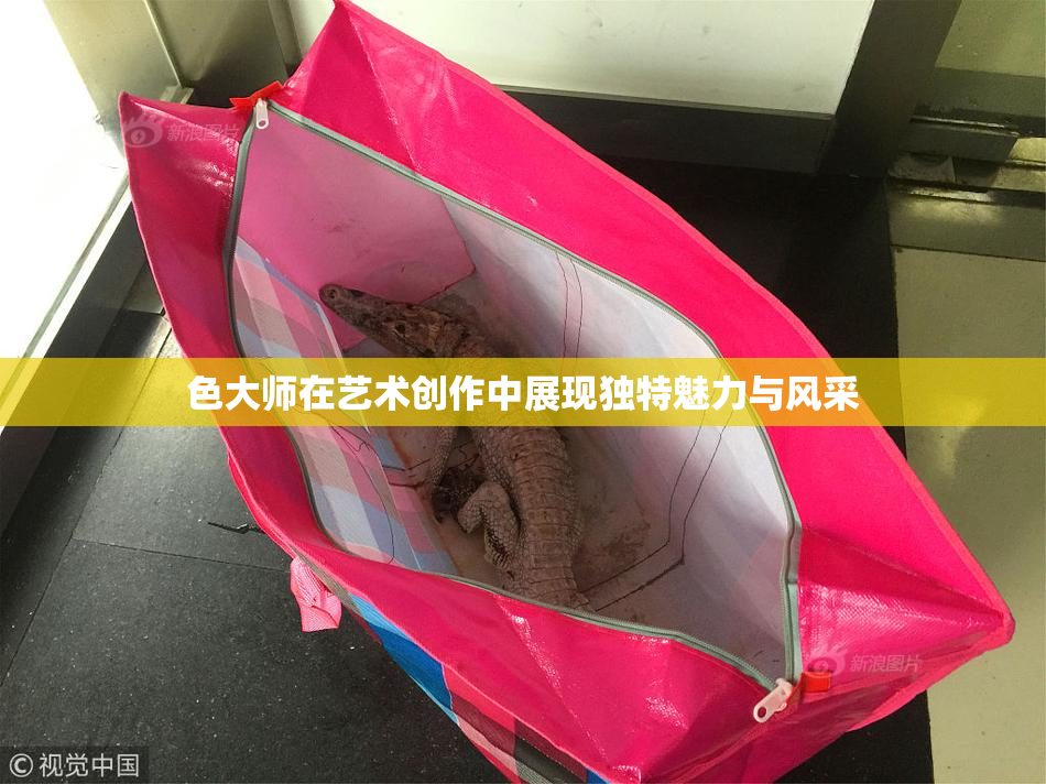 色大师在艺术创作中展现独特魅力与风采
