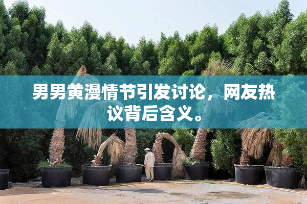 男男黄漫情节引发讨论，网友热议背后含义。