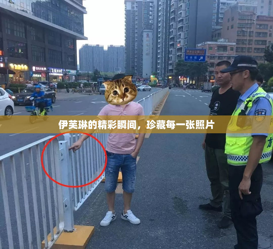 伊芙琳的精彩瞬间，珍藏每一张照片