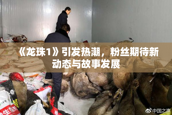 《龙珠1》引发热潮，粉丝期待新动态与故事发展