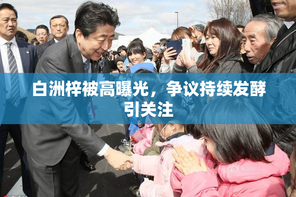 白洲梓被高曝光，争议持续发酵引关注