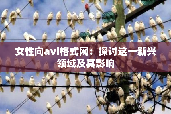 女性向avi格式网：探讨这一新兴领域及其影响