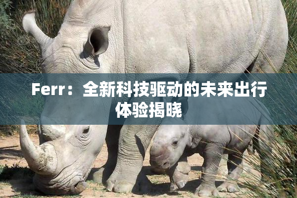 Ferr：全新科技驱动的未来出行体验揭晓