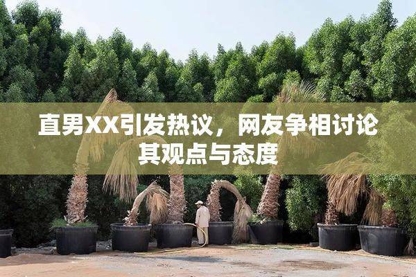 直男XX引发热议，网友争相讨论其观点与态度