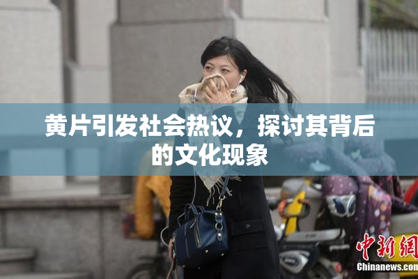 黄片引发社会热议，探讨其背后的文化现象
