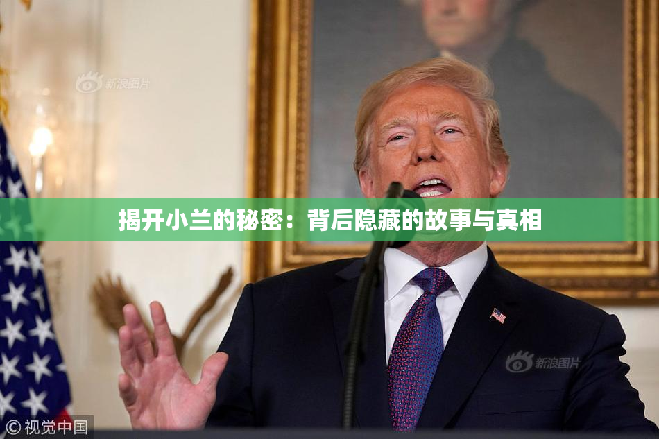 揭开小兰的秘密：背后隐藏的故事与真相