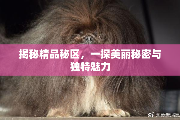 揭秘精品秘区，一探美丽秘密与独特魅力