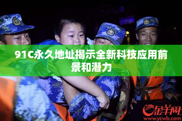 91C永久地址揭示全新科技应用前景和潜力