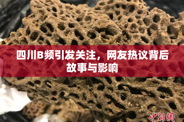 四川B频引发关注，网友热议背后故事与影响