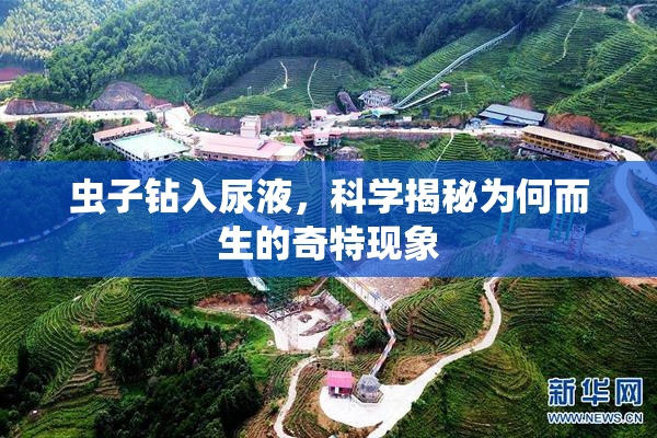 虫子钻入尿液，科学揭秘为何而生的奇特现象